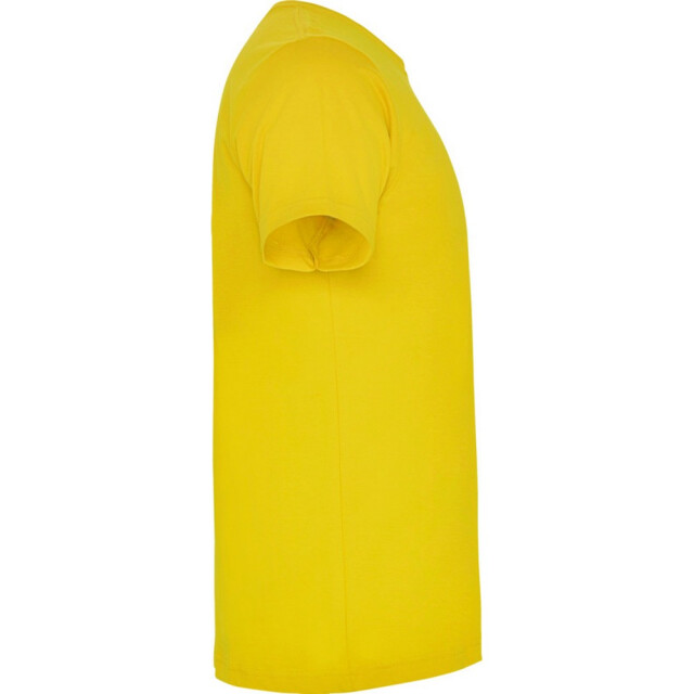 Roly Kinderen/kinderen dogo t-shirt UTPF4506_yellow large