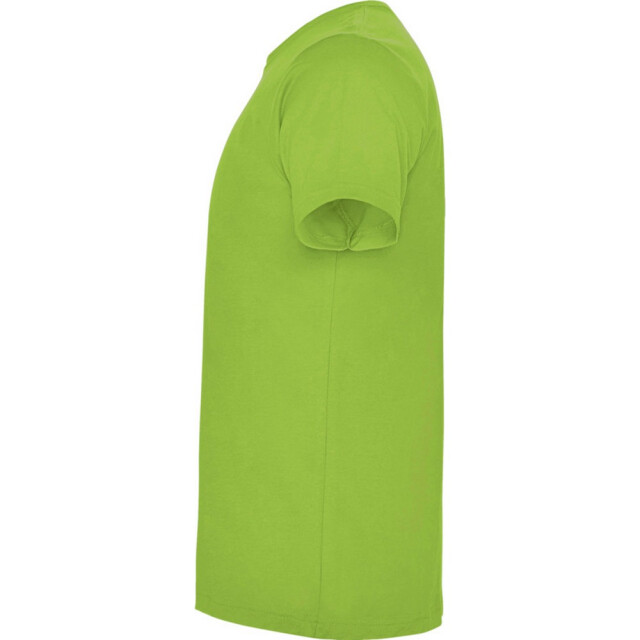Roly Kinderen/kinderen dogo t-shirt UTPF4506_oasisgreen large