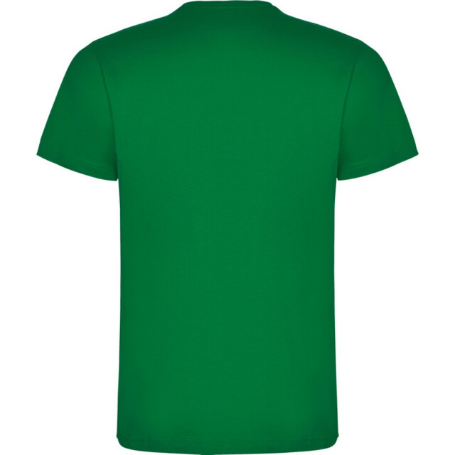 Roly Kinderen/kinderen dogo t-shirt UTPF4506_tropicalgreen large
