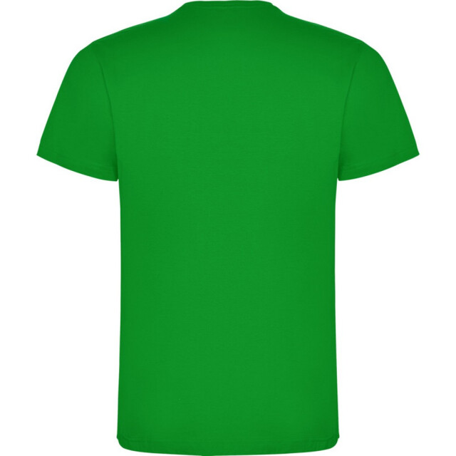Roly Kinderen/kinderen dogo t-shirt UTPF4506_grassgreen large