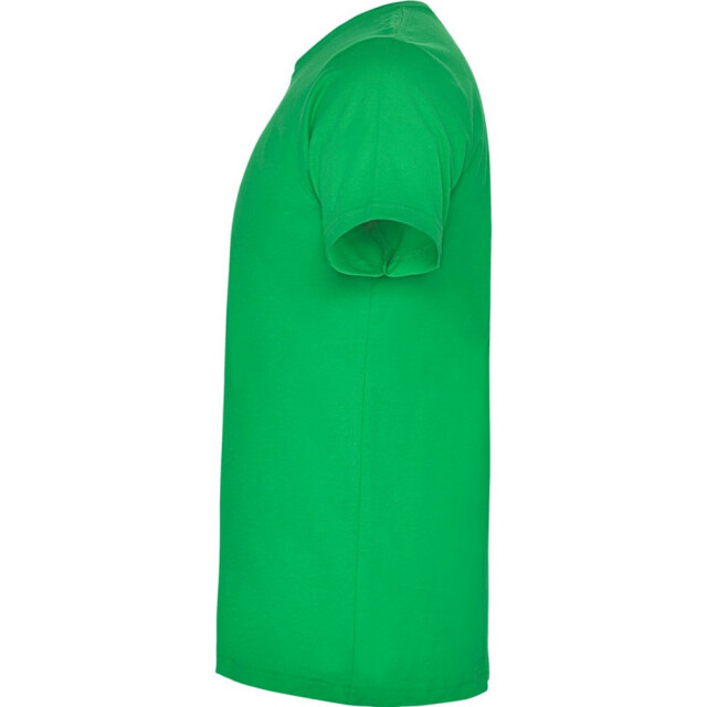 Roly Kinderen/kinderen dogo t-shirt UTPF4506_irishgreen large
