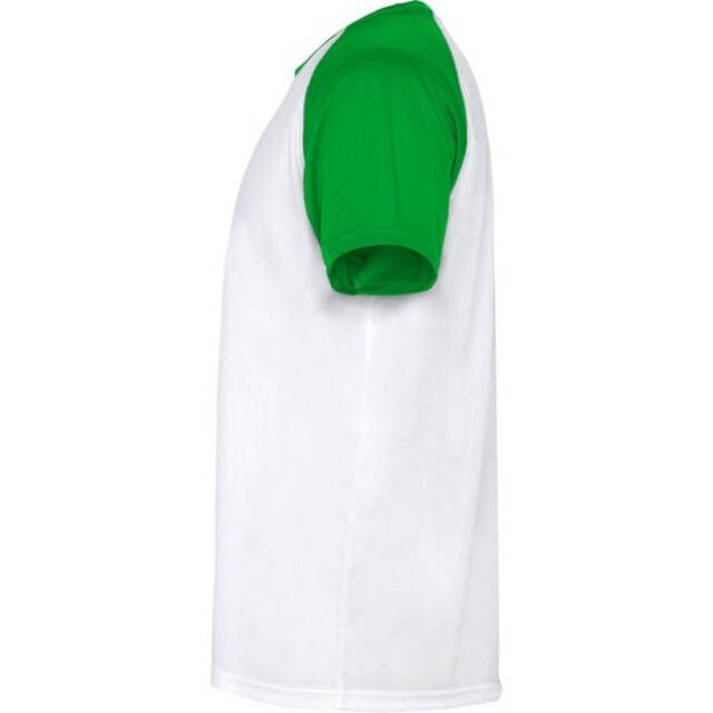 Roly Unisex volwassen indianapolis sport t-shirt met korte mouwen UTPF4436_ferngreen large