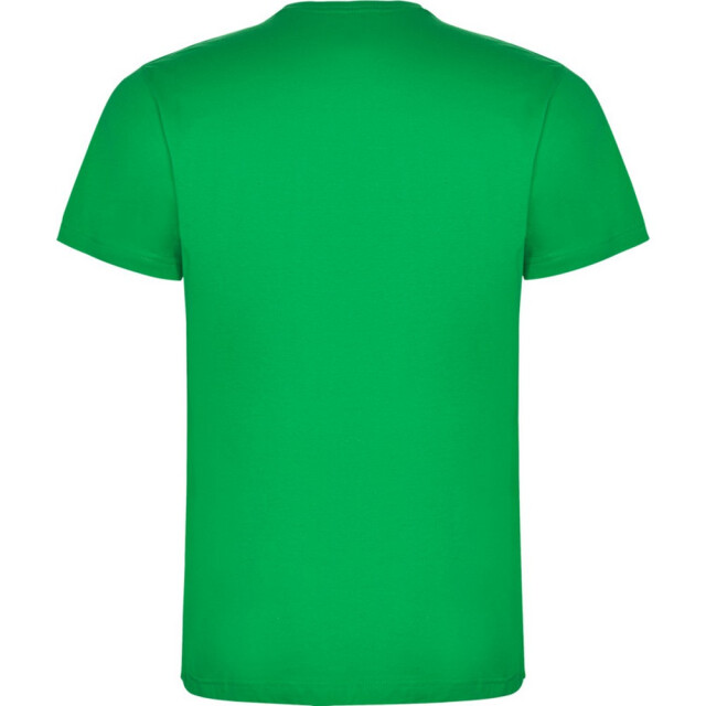 Roly Kinderen/kinderen dogo t-shirt UTPF4506_irishgreen large