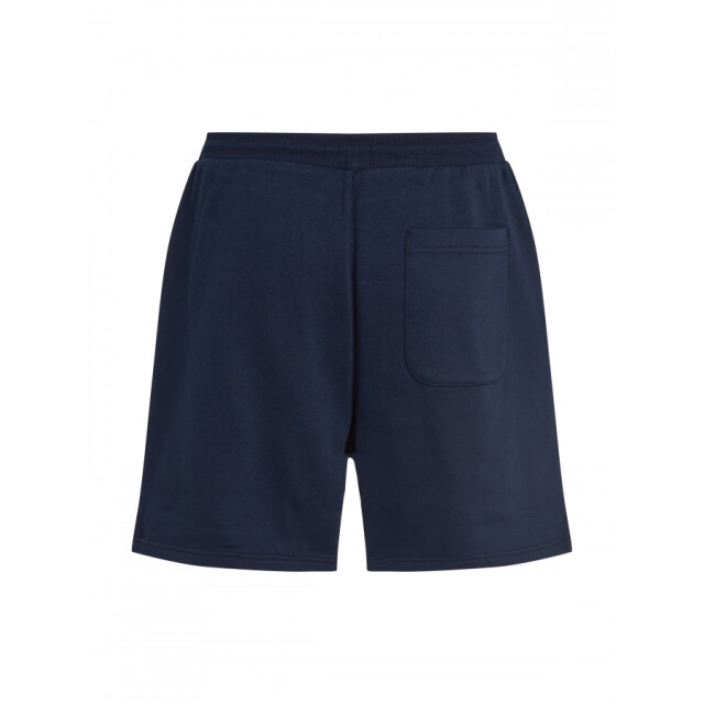 Tommy Hilfiger Dm0dm21931 c1g -  flag beach -  dark night navy heren short  C1G Dark Night Navy/DM0DM21931 Flag Beach large