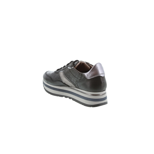 DL Sport 5845 5845 large