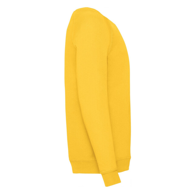 Fruit of the Loom Klassiek raglan sweatshirt voor kinderen/kinderen UTLT1841_sunflower large