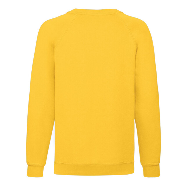 Fruit of the Loom Klassiek raglan sweatshirt voor kinderen/kinderen UTLT1841_sunflower large