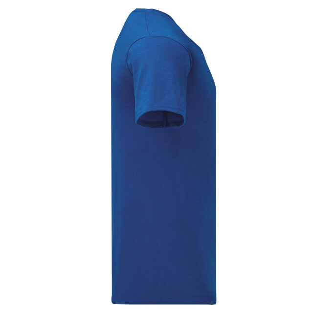 Fruit of the Loom Unisex adult iconisch v hals t-shirt UTLT1663_royalblue large