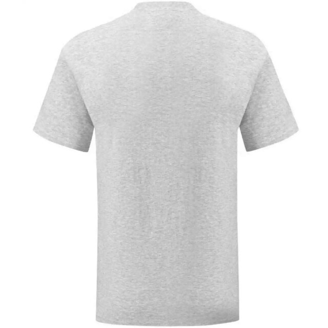 Fruit of the Loom Unisex adult iconic heather t-shirt UTLT1621_athleticheather large