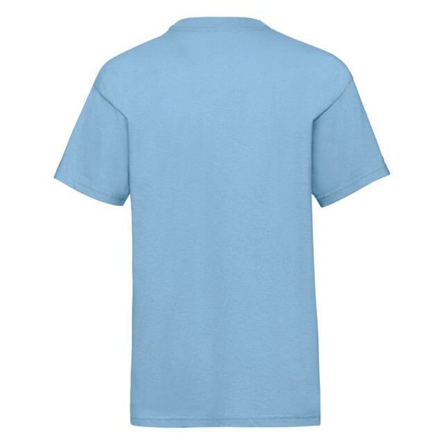 Fruit of the Loom Kinder/kids waardevol t-shirt UTLT2824_skyblue large
