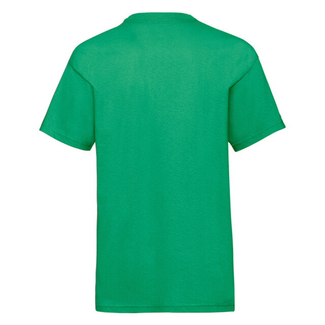 Fruit of the Loom Kinder/kids waardevol t-shirt UTLT2824_kellygreen large