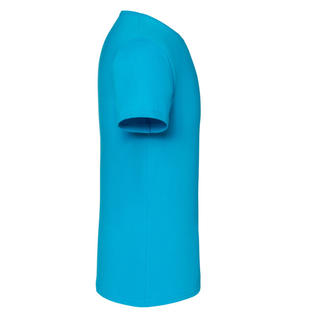 Fruit of the Loom Unisex volwassen iconisch t-shirt UTLT2613_azureblue large