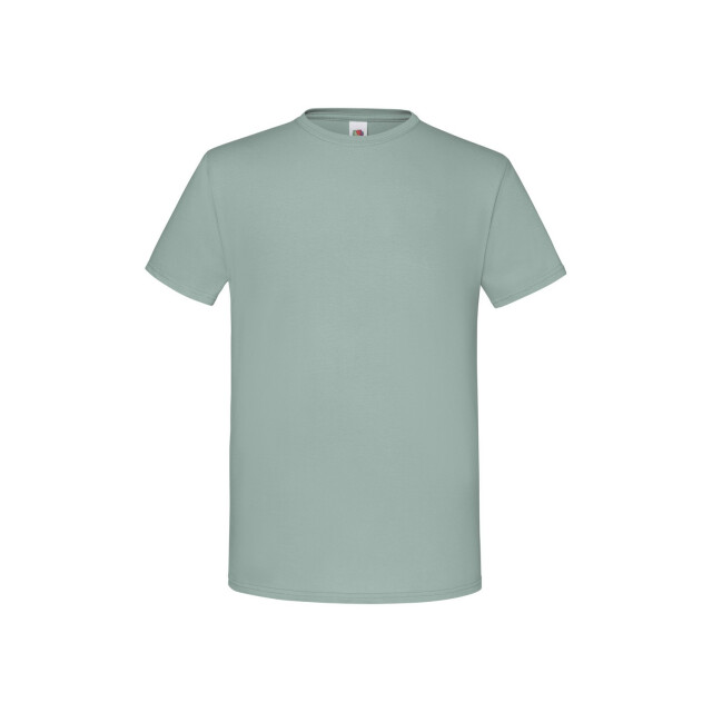 Fruit of the Loom Unisex volwassen iconisch t-shirt UTLT2613_sage large