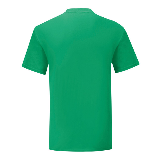 Fruit of the Loom Unisex volwassen iconisch t-shirt UTLT2613_kellygreen large