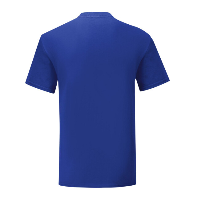 Fruit of the Loom Unisex volwassen iconisch t-shirt UTLT2613_cobaltblue large