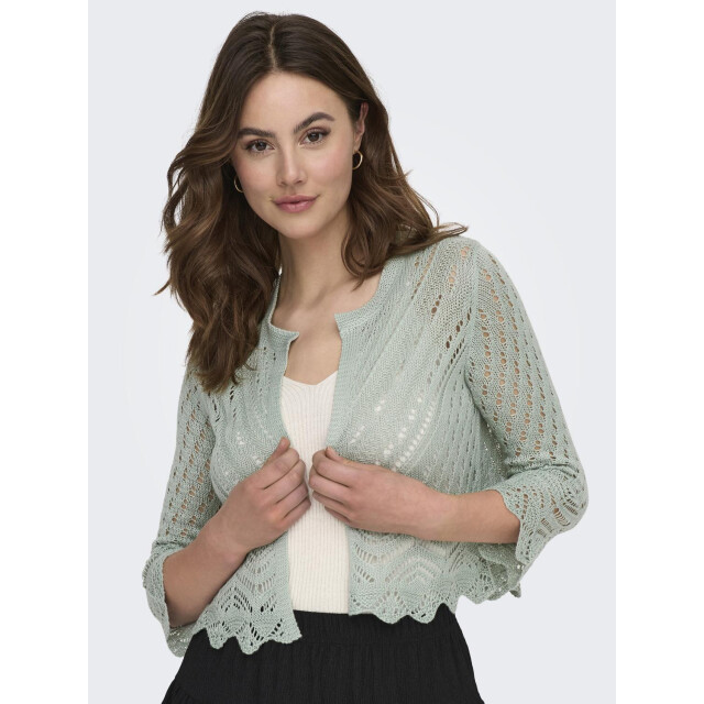 Jacqueline de Yong Jdysun 3/4 cropped cardigan knt 15184486 large