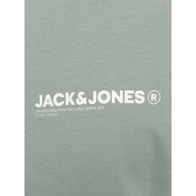 Jack & Jones Heren t-shirt jjhawaii ronde hals 12269334-Groen large