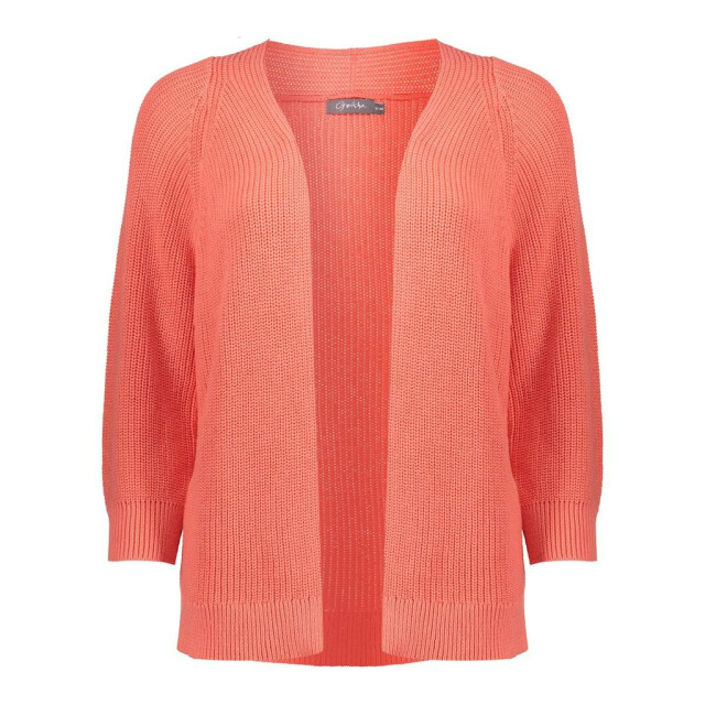 Geisha vest 54013-10 225 salmon 06741.512.0001 large