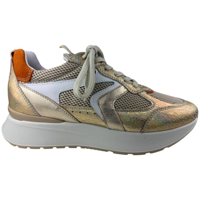 Nero Giardini 12880 sneaker 12880 large
