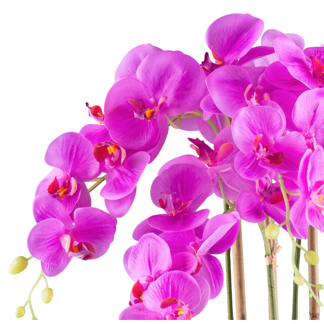 Kopu ® kunstbloem orchidee 62 cm met witte pot phalenopsis 3059331 large