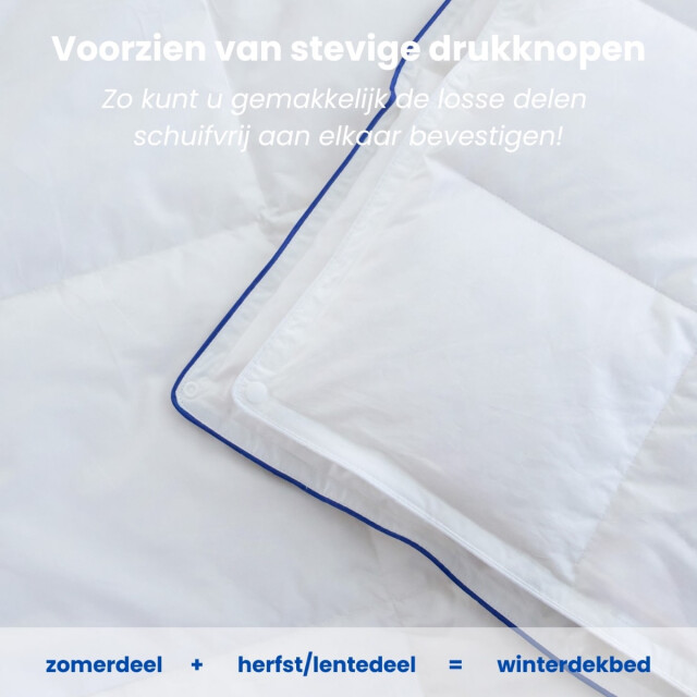 Fabiola Oostenrijks dons 4-seizoenen dekbed halfdons dekbed luxe en lekker 3059815 large