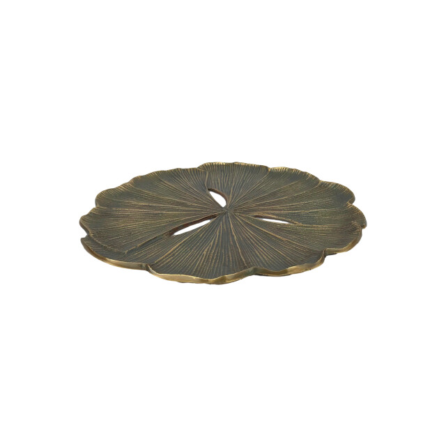 HSM Collection -ronde bloemschotel fletcher -ø40x2--metaal 2923329 large