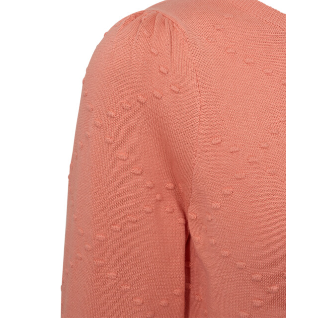 Free Quent Fqdodo trui coral FQDodo trui coral large