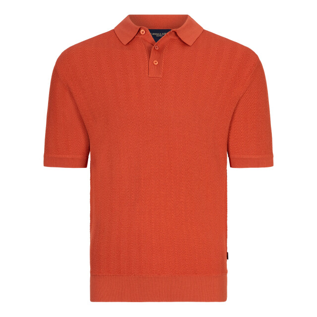 Cavallaro Cavallaro polo met korte mouwen 101981-001-XL large
