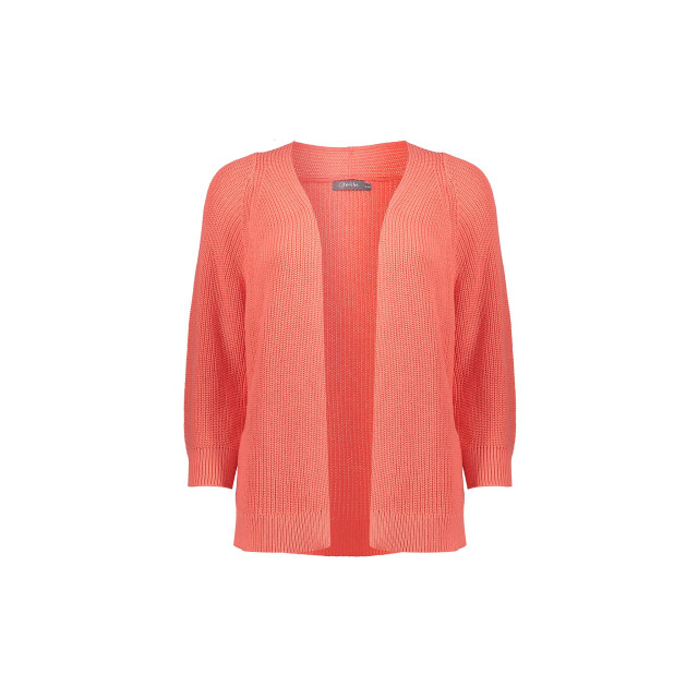 Geisha 54013-10 gebreid vest 54013-10 Gebreid Vest large
