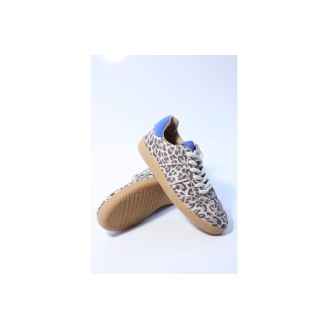 DWRS Label Poona leopard sneakers  large
