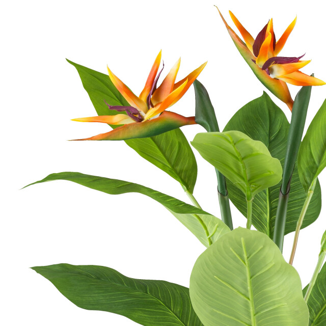 Kopu ® kunstplant strelitzia 80cm pot wit/ paradijsvogelplant 3061193 large