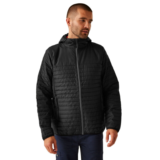 Regatta Heren gerecycled gewatteerd jack UTFK1133_black large
