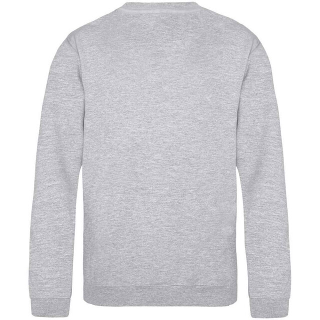 Awdis Kinderen/kinderen just hoods sweatshirt UTLT2092_heathergrey large