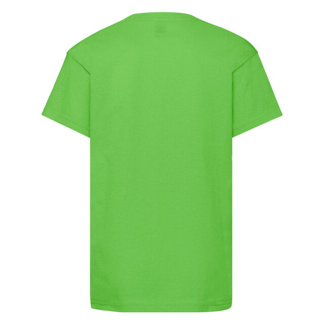 Fruit of the Loom Origineel t-shirt voor kinderen UTLT2039_lime large