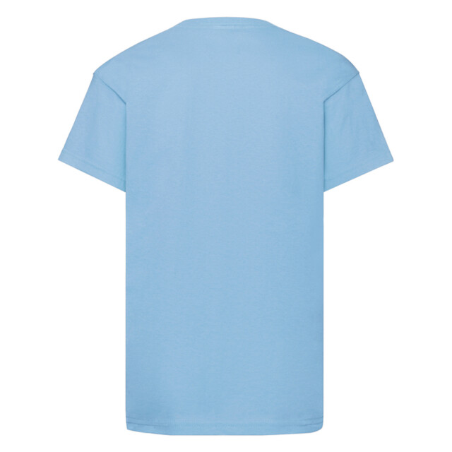 Fruit of the Loom Origineel t-shirt voor kinderen UTLT2039_skyblue large