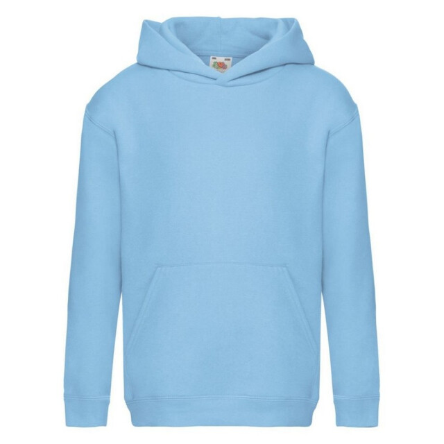 Fruit of the Loom Kinder/kids premium hoodie UTLT1977_skyblue large