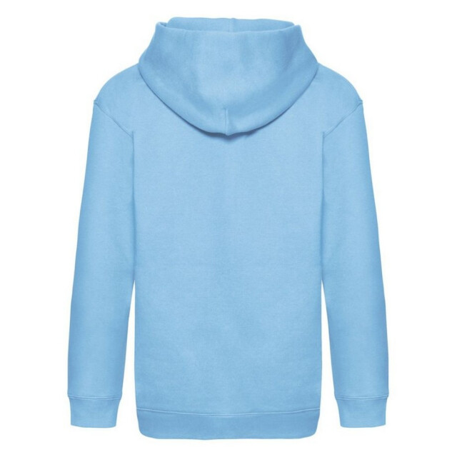 Fruit of the Loom Kinder/kids premium hoodie UTLT1977_skyblue large
