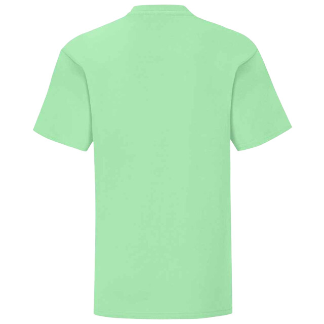 Fruit of the Loom Kinderen/kinderen iconisch t-shirt UTLT3179_neomint large