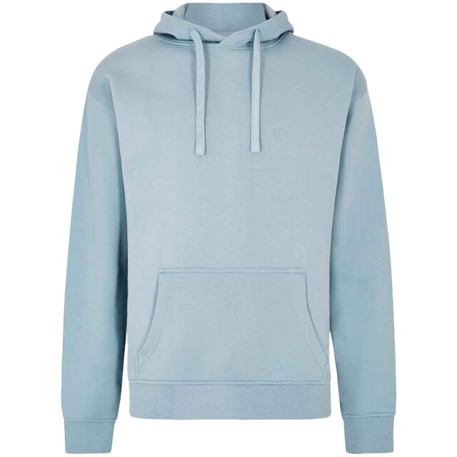 Kustom Kit Unisex adult regular hoodie UTLT5230_skyblue large
