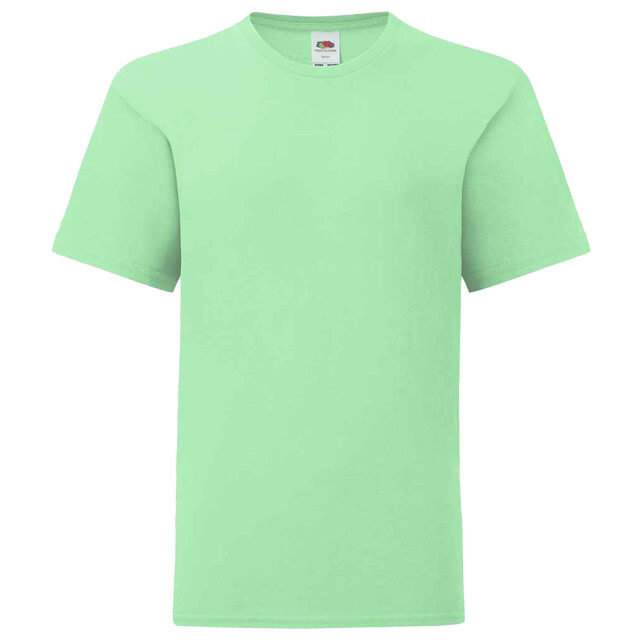 Fruit of the Loom Kinderen/kinderen iconisch t-shirt UTLT3179_neomint large