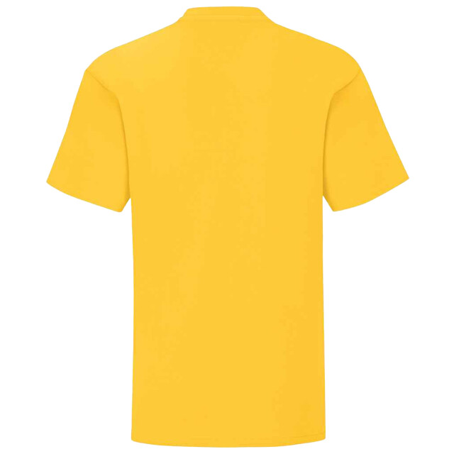 Fruit of the Loom Kinderen/kinderen iconisch t-shirt UTLT3179_sunflower large