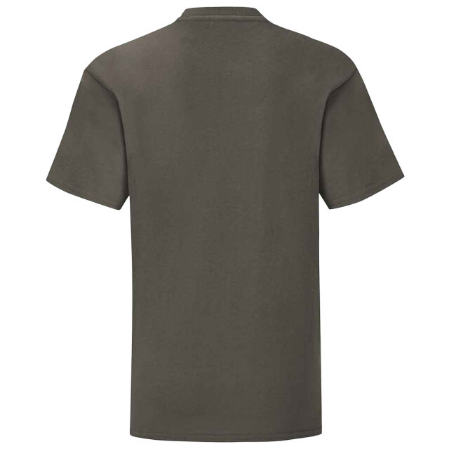 Fruit of the Loom Kinderen/kinderen iconisch t-shirt UTLT3179_lightgraphite large
