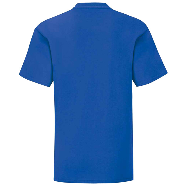 Fruit of the Loom Kinderen/kinderen iconisch t-shirt UTLT3179_royalblue large