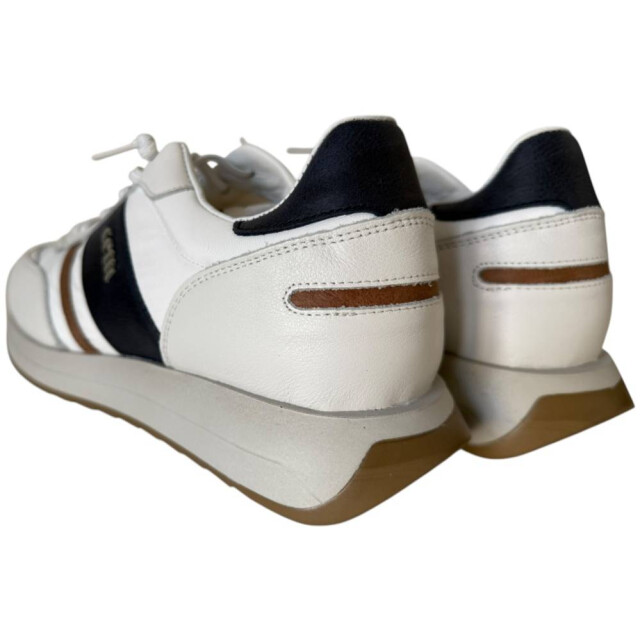 Cetti 1363 sneaker 1363 large