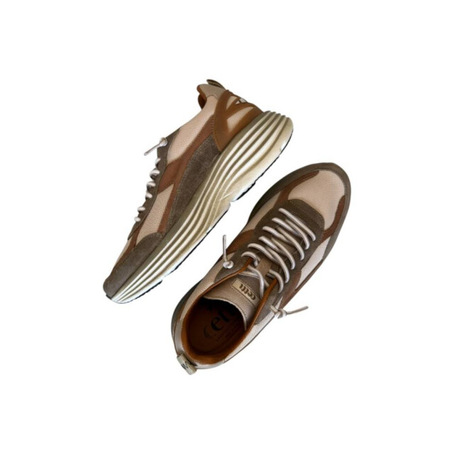 Cetti 1347 sneaker 1347 large