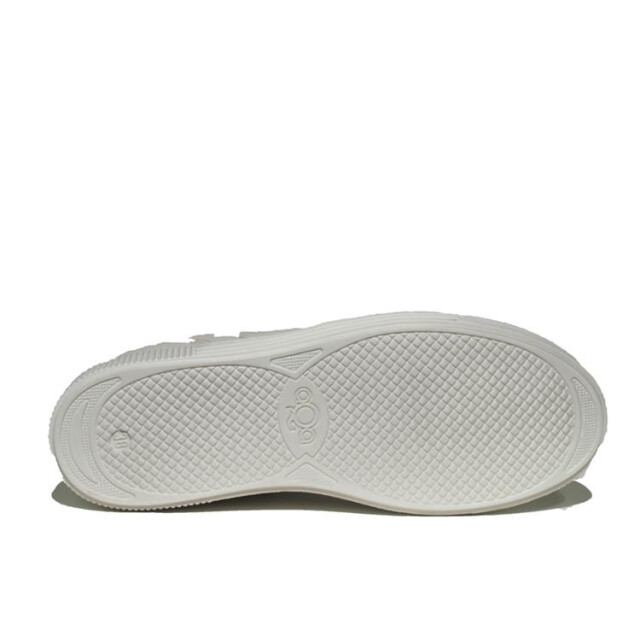 Aqa A8531 A8531 large