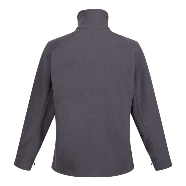 Regatta Dames thor iii interactief fleecejack UTFK2283_sealgrey large
