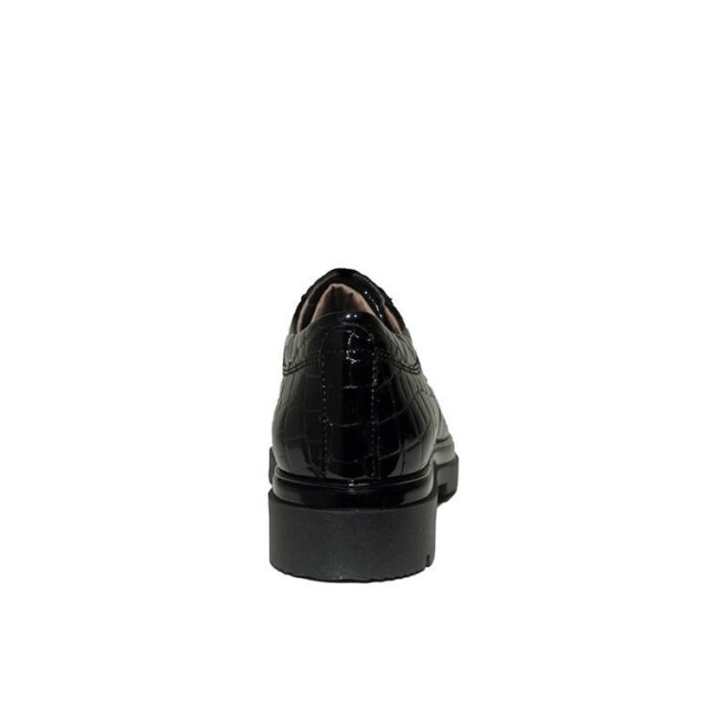DL Sport 5923 5923 large