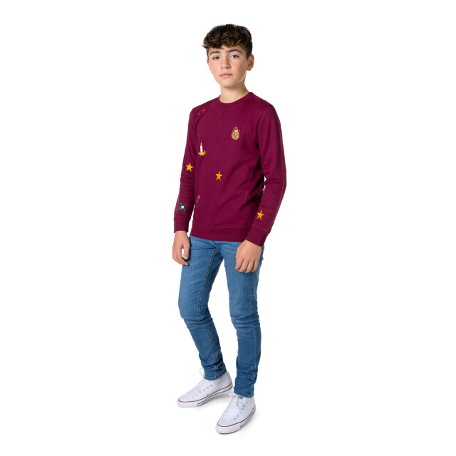 OppoSuits Teen boys x-mas icons burgundy ODST-1003 large