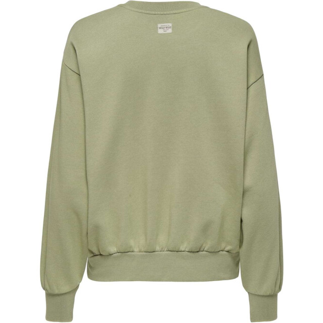 Only Onllucinda l/s mountain o-neck box swt elm/boho ch 15343631-261775001 large